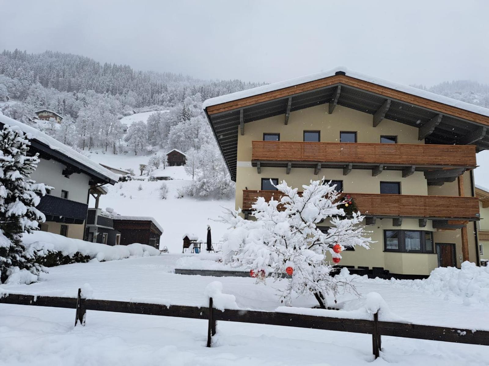 Appartement Reichholf 布拉保韦德库 外观 照片
