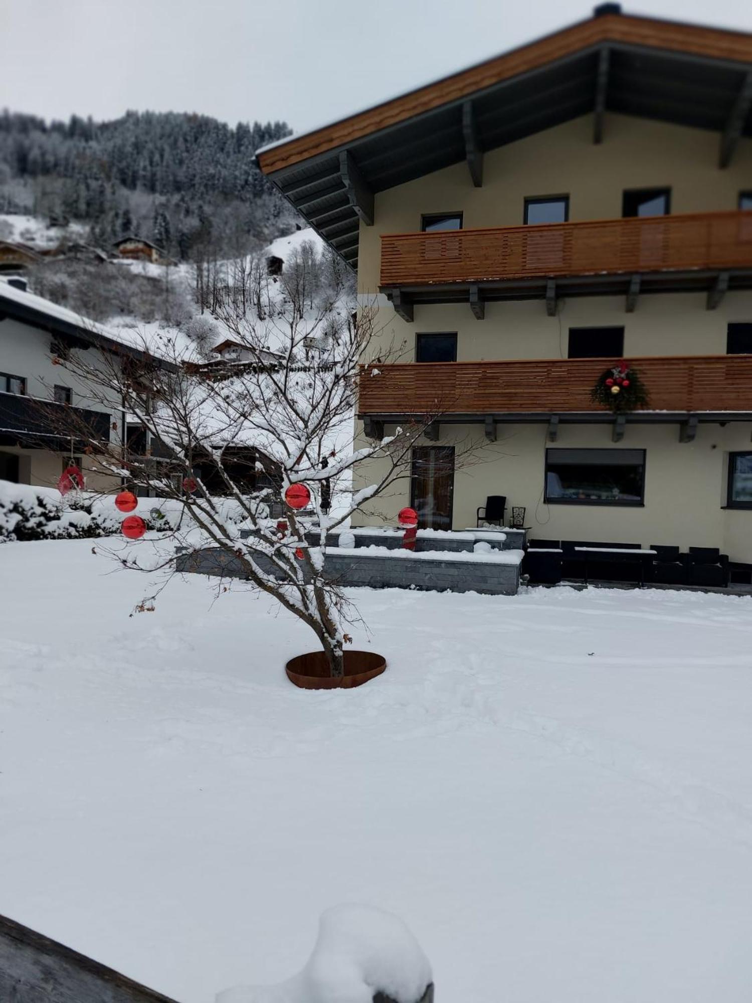 Appartement Reichholf 布拉保韦德库 外观 照片